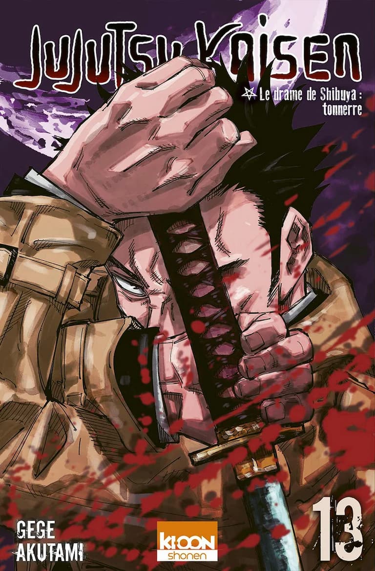 Volume 13